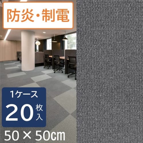 �^�C���J�[�y�b�g�@NP�X�N�G�A�V���[�Y�@NP501-PZ�@�O���[�@1�P�[�X