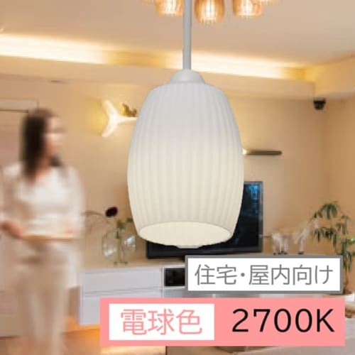 �y���_���g �^�����B 1�� ���| PLTV-1E17F