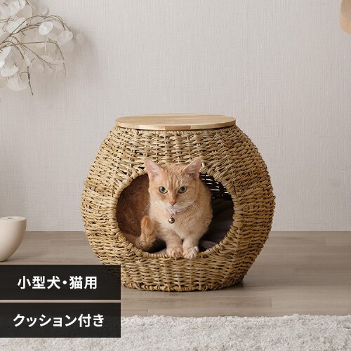 ���^�����y�b�g�n�E�X �{�[�� PHR-B4035 �i�`������