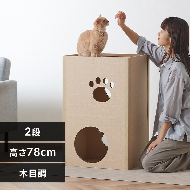 �L���b�g�^���[ �i�{�[�� �˂��˂��^���[ 2�i P-NT2