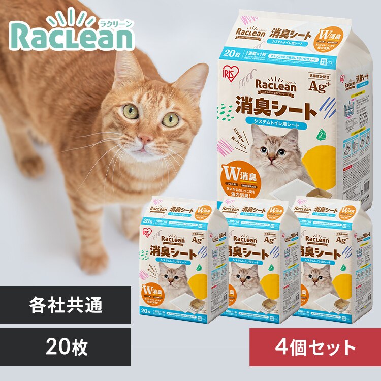 �y4�Z�b�g�z�V�X�e���g�C���p���L�V�[�g 20��