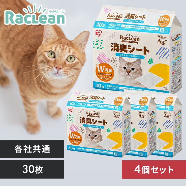 �y4�Z�b�g�z�V�X�e���g�C���p���L�V�[�g 30��