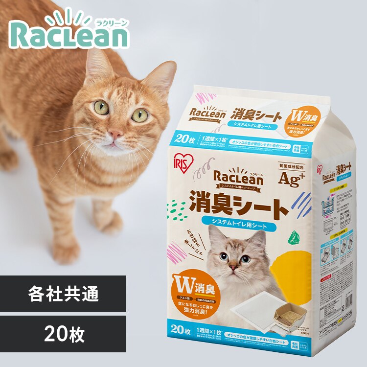 �V�X�e���g�C���p���L�V�[�g 20��