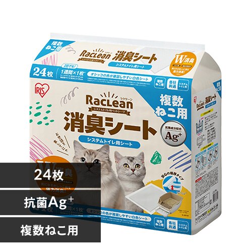 �V�X�e���g�C���p���L�V�[�g �����˂��p 24��