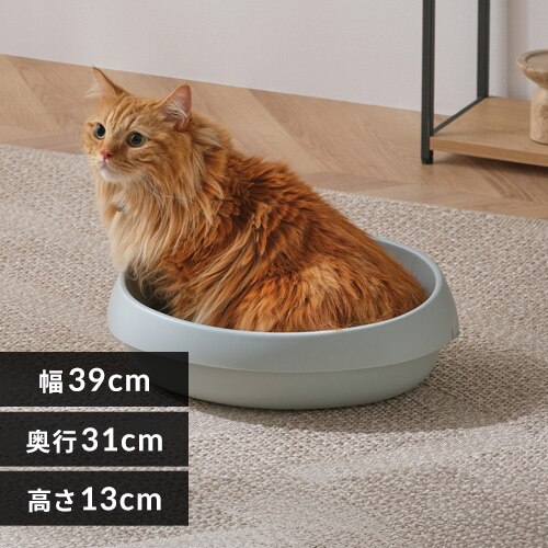 �L�̃g�C�� 390 PNE-390 �~���g�O���[