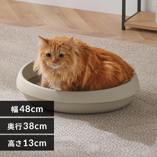 �L�̃g�C�� 480 PNE-480 �u���E��