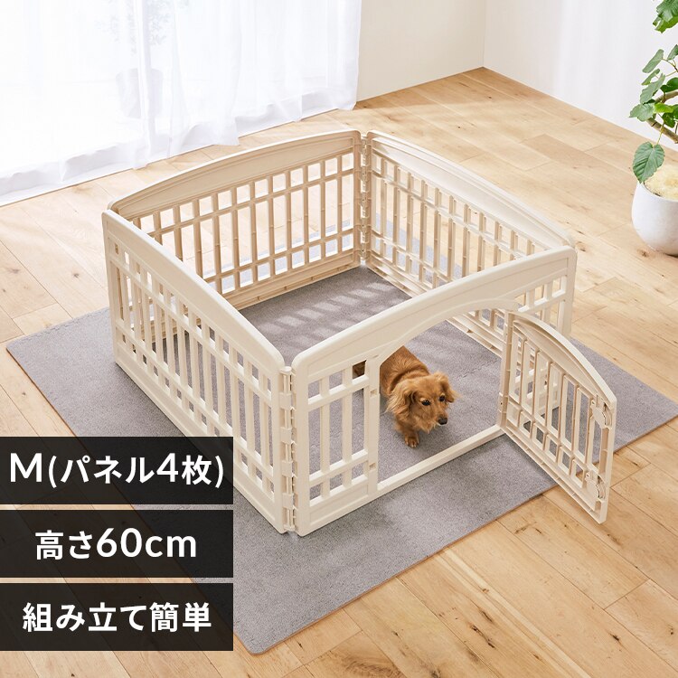 �y�b�g�T�[�N�� CI-604 �A�C�{���[