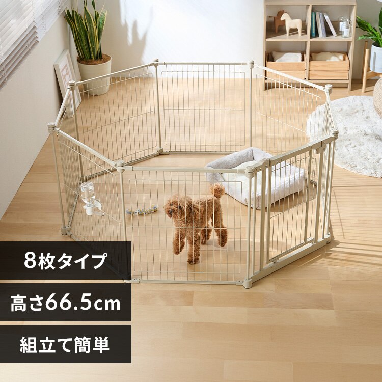 �X�`�[���T�[�N�� STCC-8 ���C�g�x�[�W��