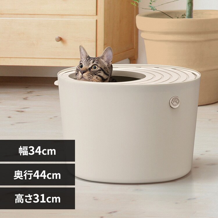 �ォ��L�g�C�� �v�` PUNT-430 ���C�g�x�[�W��