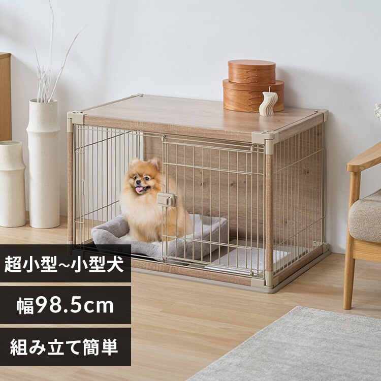 �C���e���A�E�b�f�B�T�[�N�� PIWS-960 ���C�g�x�[�W��