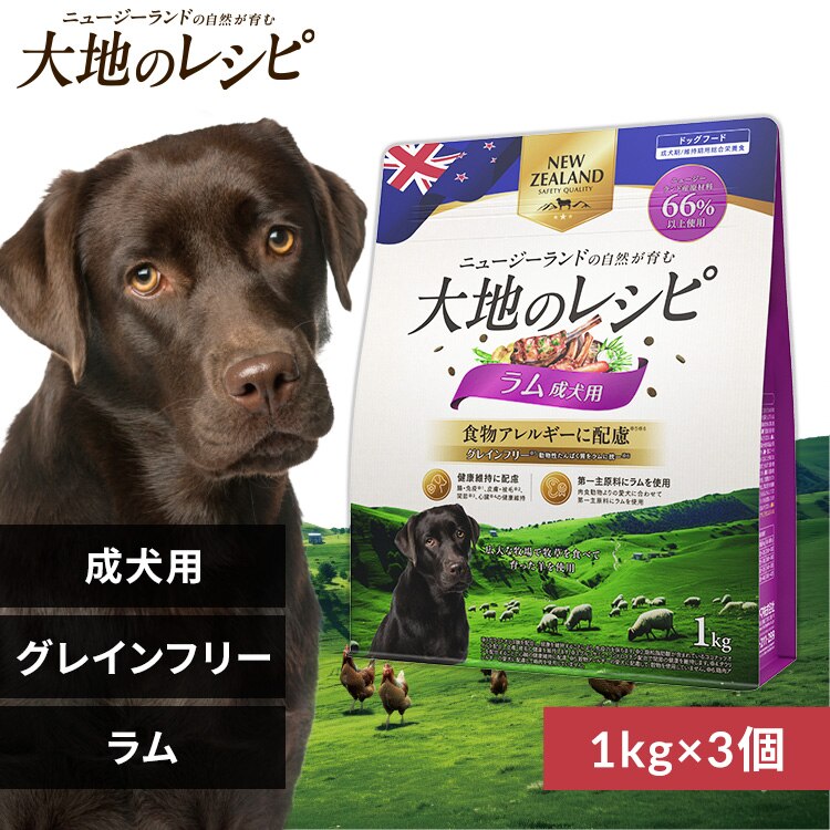 【3個セット】大地のレシピ 成犬用 DRD-R1K ラム1kg