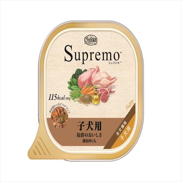 �V���v���� �V���v���� �q���p �g���C 100g  