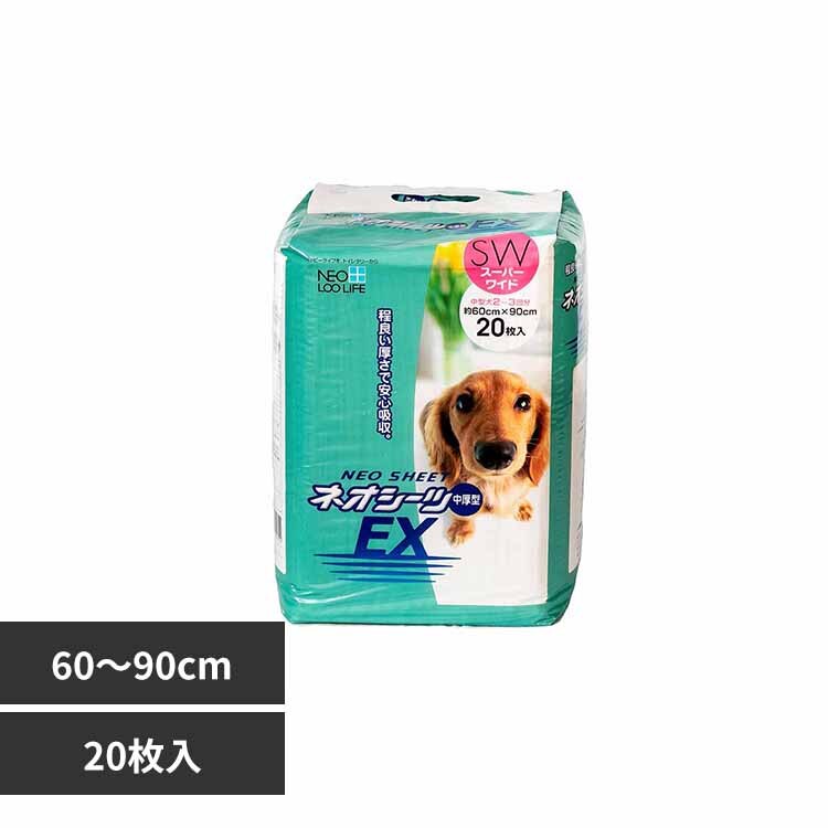 �y20�����z�l�I�V�[�cEX�X�[�p�[���C�h   