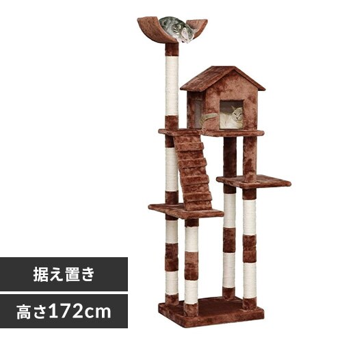 �L���b�g�����h �������t �u���E�� 