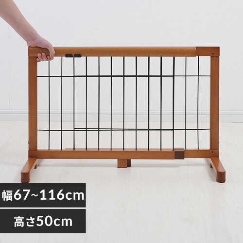 CONTINUOUS STAR �L�k�y�b�g�p�Q�[�g S PG-65�@�u���E��