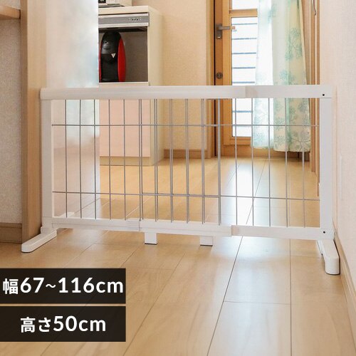 CONTINUOUS STAR �L�k�y�b�g�p�Q�[�g PG-65 �z���C�g�@