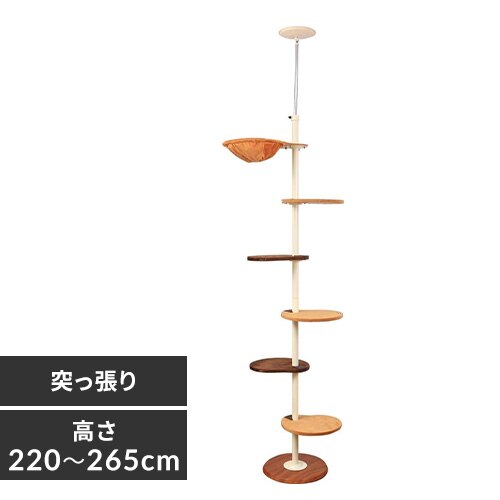 �{���r�A���R�� �L���b�g�|�[�� �r�[���Y 