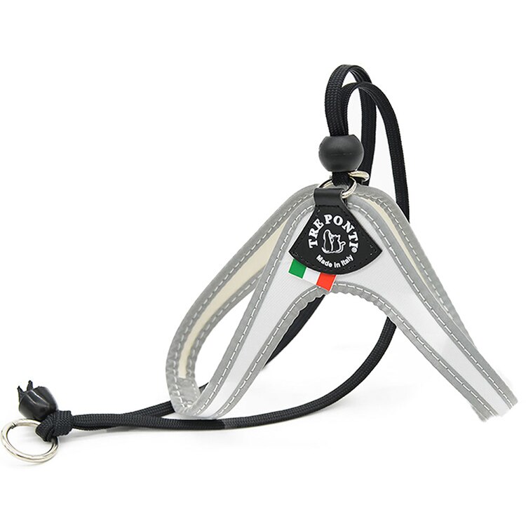 LTP101 Liberta FLUO �z���C�g/2