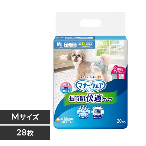 �}�i�[�E�F�A �����ԉ��K�I���c M28��