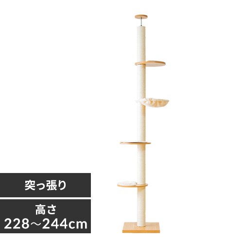 �ؓo��L���b�g�^���[ KCCT�]244 �i�`�������iNA)