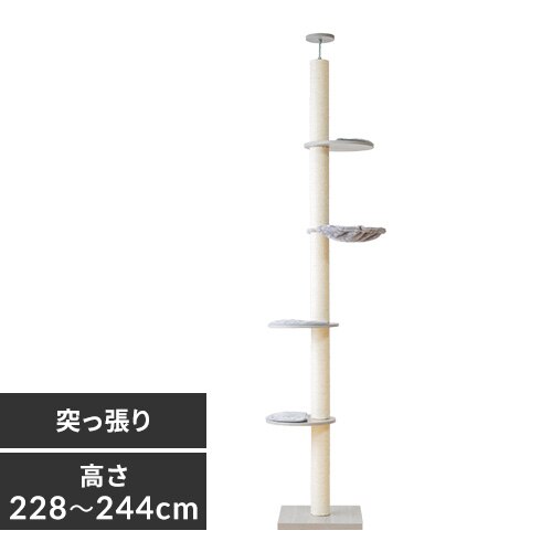 �ؓo��L���b�g�^���[ KCCT�]244 �O���[�iGY�j 