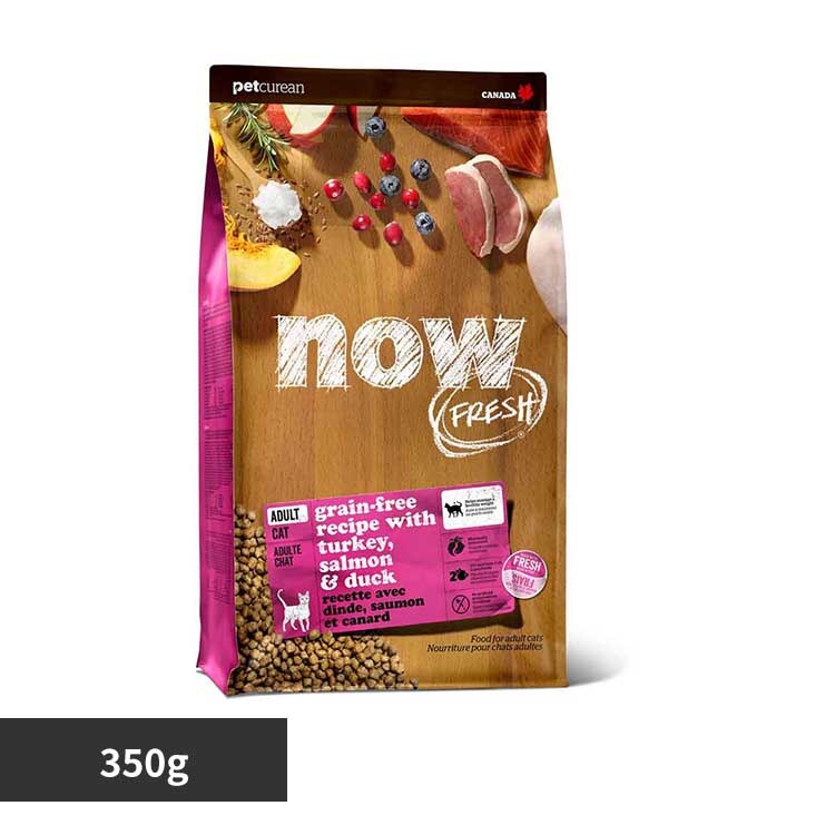 �O���[�o���y�b�g�j���[�g���V���� NOW �A�_���g�L���b�g 350g 