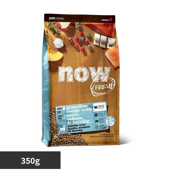 �O���[�o���y�b�g�j���[�g���V���� NOW �t�B�b�V���A�_���g�L���b�g 350g 