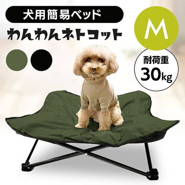 �����˂ƃR�b�gM 1011199012 �u���b�N