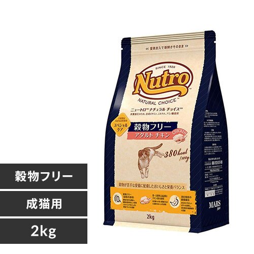 NC181 �`���C�X �L���b�g �����t���[ �A�_���g �`�L�� 2kg NC181 