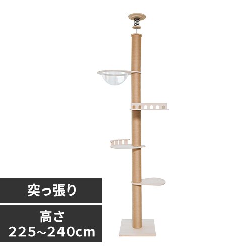 �˒����A�X���`�b�N�^���[ �o���R�j�[ 1011103004 