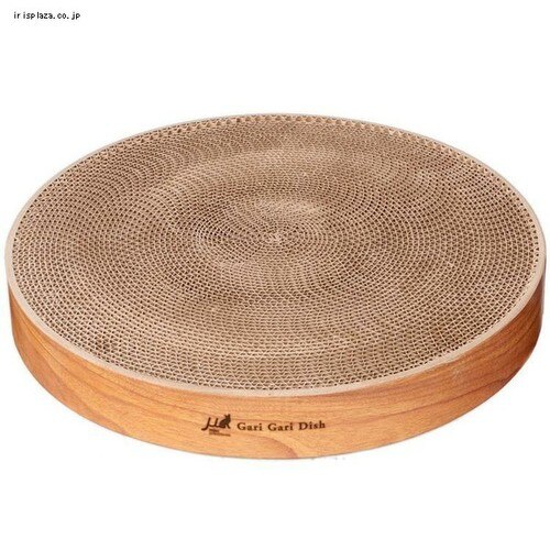 �K���K���f�B�b�V�� ���t�B�� �e�B�[�u���E�� 