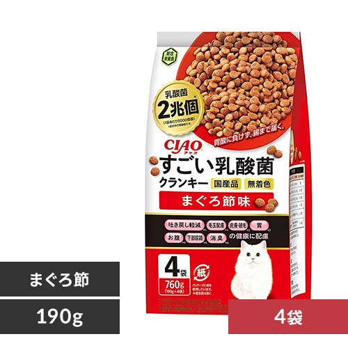 CIAO ���������_�ۃN�����L�[ �܂���ߖ� P-301 