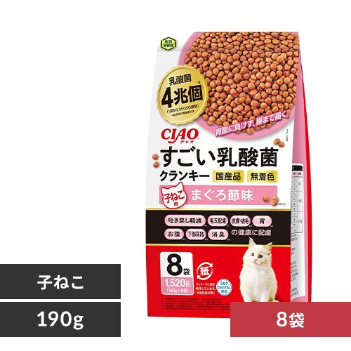 CIAO ���������_�ۃN�����L�[ �q�˂��p �܂���ߖ� P-316 