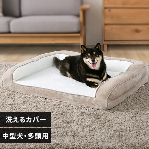 �y�b�g�x�b�h �􂦂� �� �J�o�[�����O���ł���y�b�g�x�b�h L �O���[