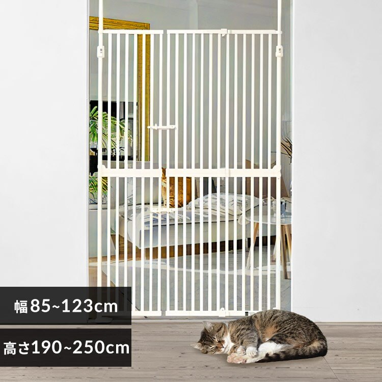 �ɂ��h�ADX �z���C�g 1271107011 �y������s�z�y�O�����s�z