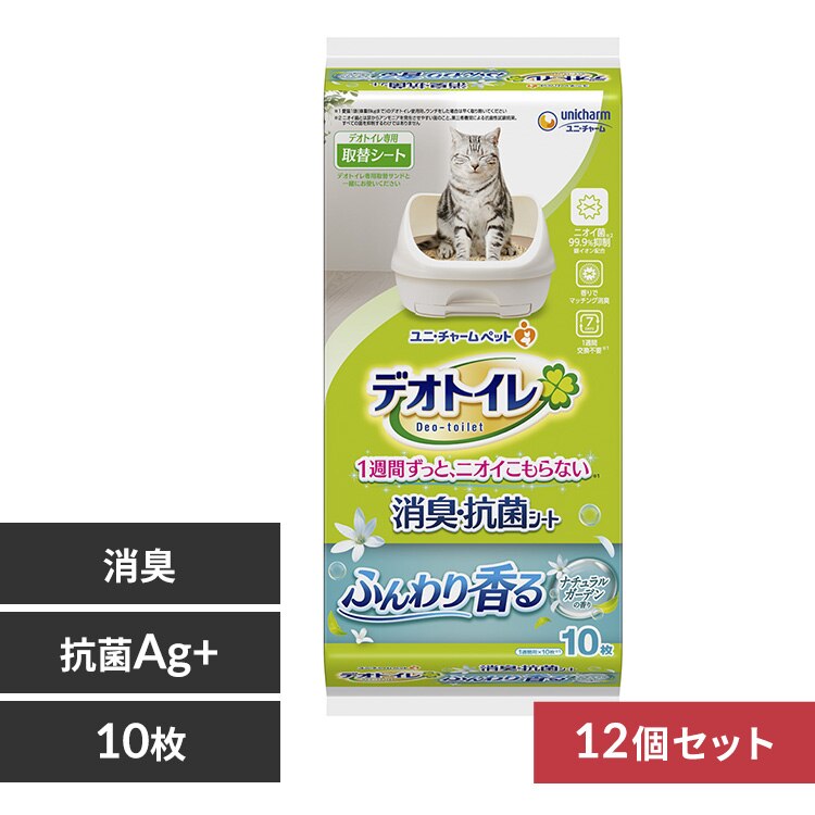 �y12�Z�b�g�z���j�E�`���[�� �f�I�g�C�� �ӂ��荁����L�E�R�ۃV�[�g �i�`�������\�[�v�̍��� 10�� 