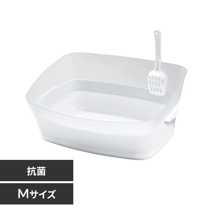 �{���r�A���R�� ������g�C�� �N���A�L���b�gM 