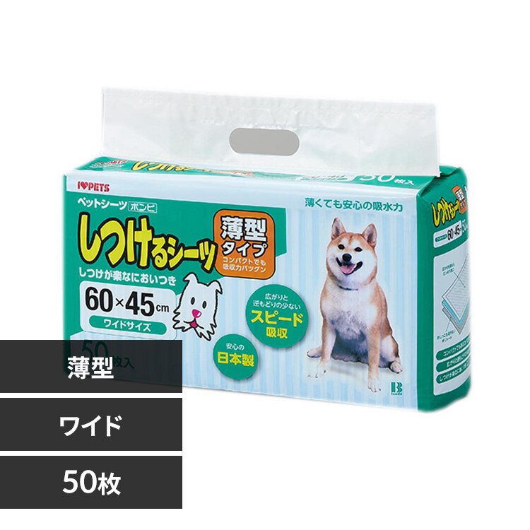 �{���r�A���R�� ������V�[�c���^ ���C�h�T�C�Y50��