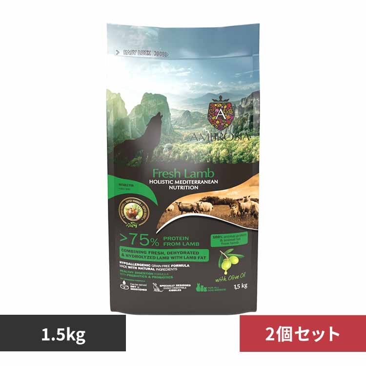 �y2�Z�b�g�z�A���u���V�A HMN����1.5kg 521301500 