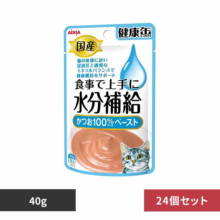 �y24�z���Y ���N�ʃp�E�` �����⋋ �����y�[�X�g 40g 3001036 