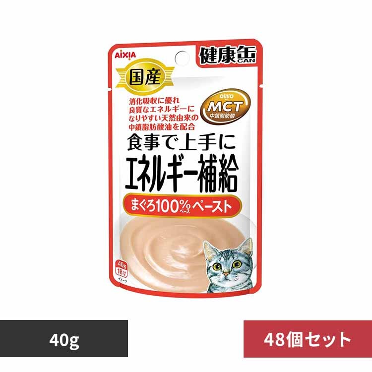 �y48�z���Y ���N�ʃp�E�` �G�l���M�[�⋋ �܂���y�[�X�g 40g 3000974 