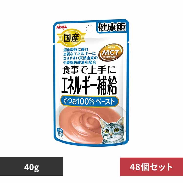 �y48�z���Y ���N�ʃp�E�` �G�l���M�[�⋋ �����y�[�X�g 40g 3000975 