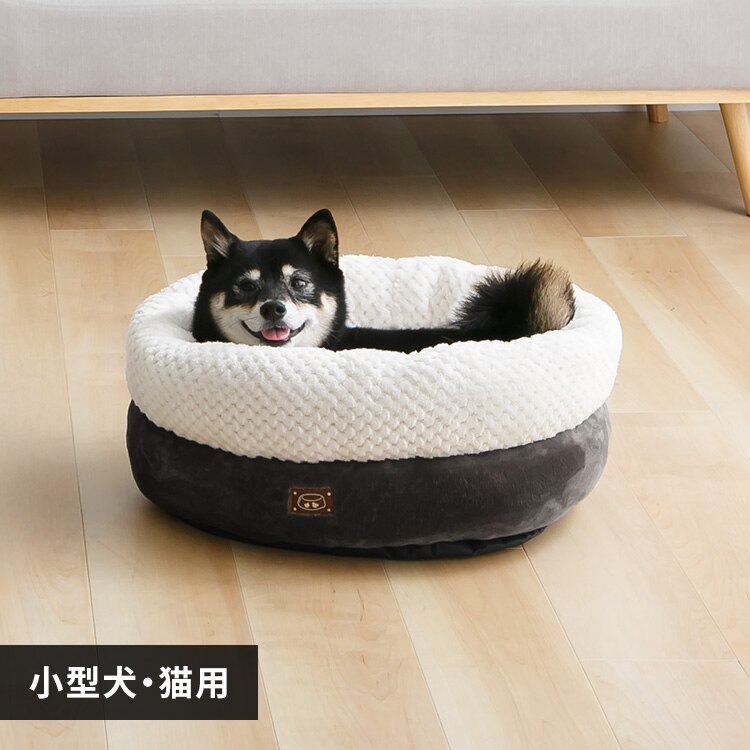 �y�b�g�x�b�h�h�[�i�c�\�t�@�`���R�[��