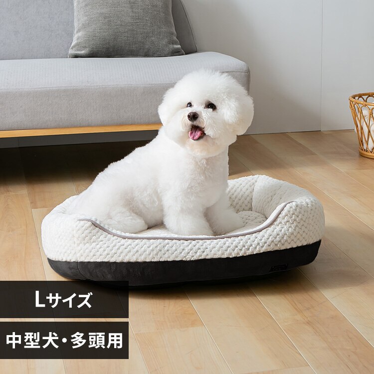 �y�b�g�x�b�h�\�t�@�[�k�^�`���R�[��