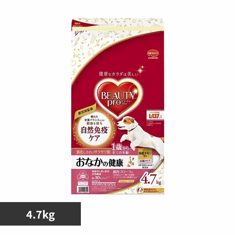�r���[�e�B�[�v���h�b�O���Ȃ��̌��N1�΂���4.7kg 1011059 