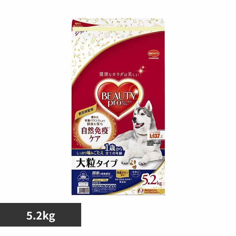 �r���[�e�B�[�v���h�b�O�嗱�^�C�v1�΂���5.2kg 1011067 