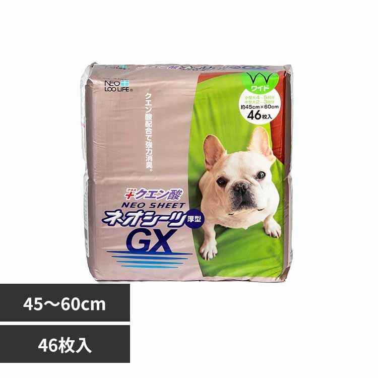 �l�I�V�[�c �N�G���_GX ���C�h46�� 3630415 