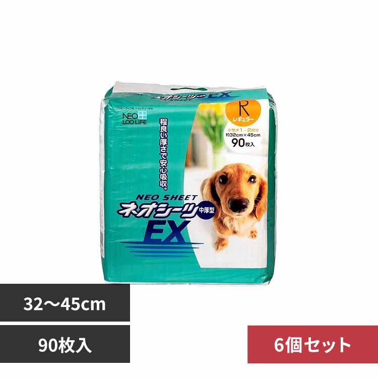 �y6�z�l�I�V�[�c EX ���M�����[90�� 3630301 