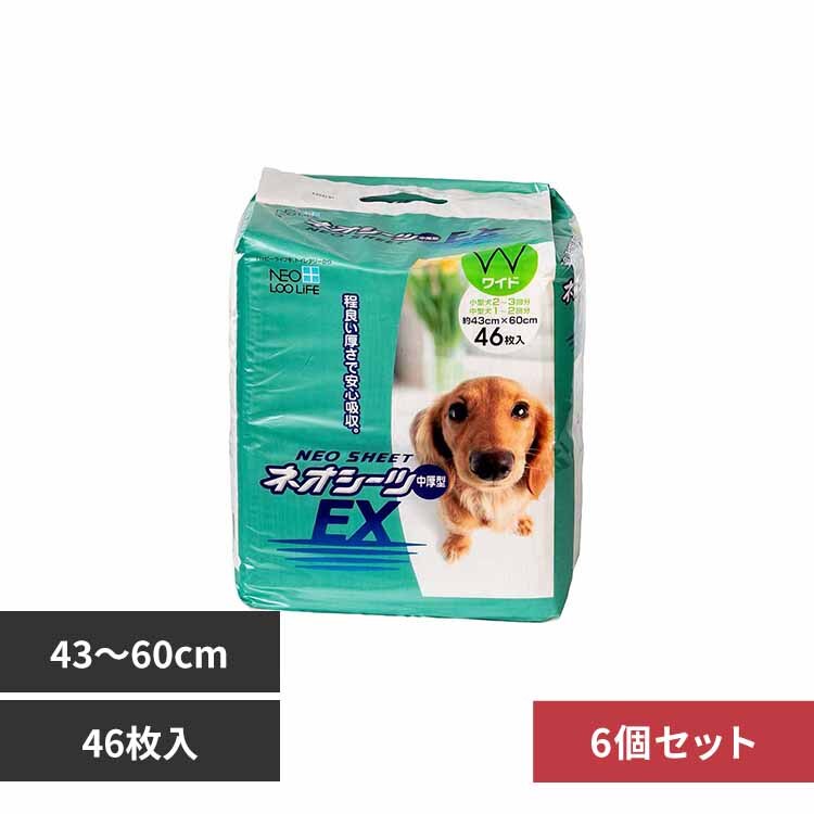 �y6�z�l�I�V�[�c EX ���C�h46�� 3630302 