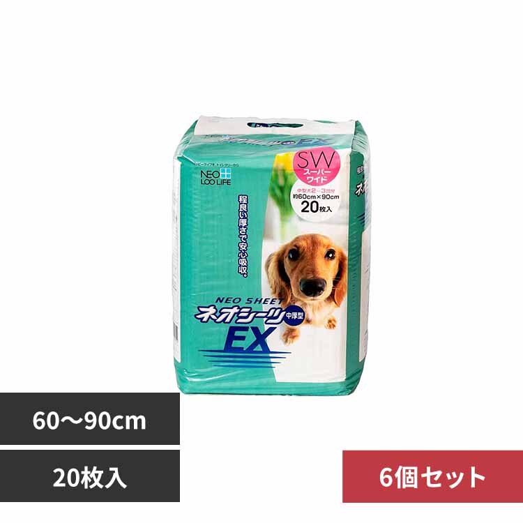 �y6�z�l�I�V�[�c EX �X�[�p�[���C�h20�� 3630344 